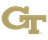 Georgia Institute of Technology